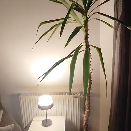 Apartman Paris 2 Night Private Parking Nis